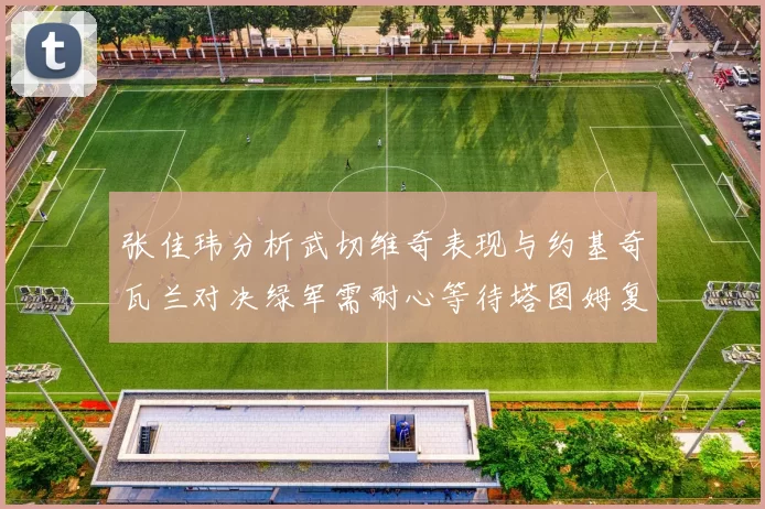 张佳玮分析武切维奇表现与约基奇瓦兰对决绿军需耐心等待塔图姆复出